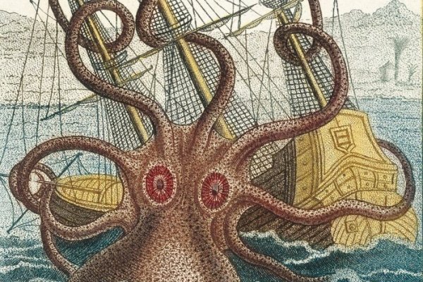 Kraken tor onion зеркало