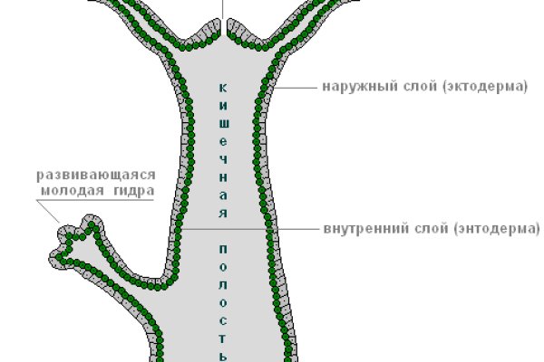Kraken ссылка для тору