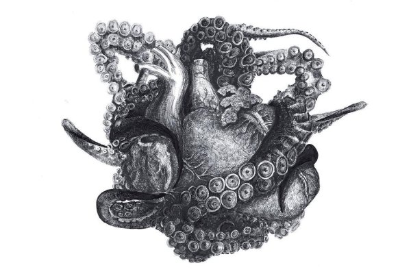 Kraken 18