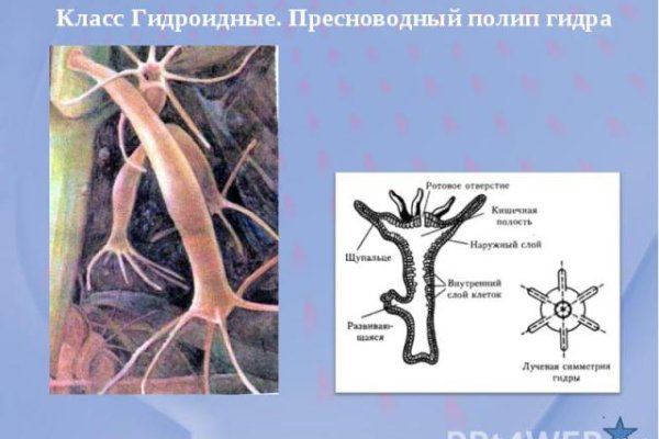 Кракен маркетплейс в тг